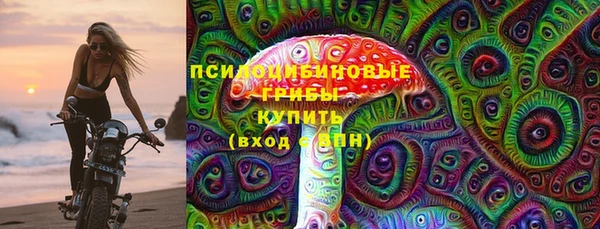 PSILOCYBIN Балабаново